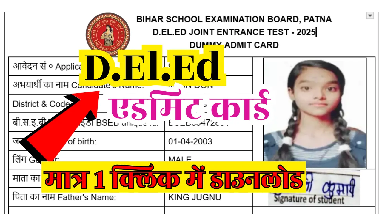 DElEd Dummy Admit Card 2025 Download @deledbihar.com